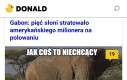 Na wszelki wypadek jeszcze raz niechcący nadepnę