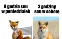 Czemu to tak działa