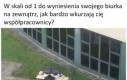 Nie przepadam za tymi ludźmi