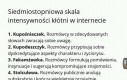 Skala kłótni w internetach