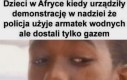 Przechytrzeni znowu