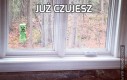 Już czujesz