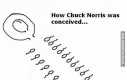 Jak został poczęty Chuck Norris