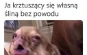 Wnuków to ja raczej nie doczekam
