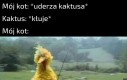 Autentyczna sytuacja