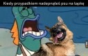 Przepraszam