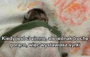 Potwory spod łóżka tylko na to czekają
