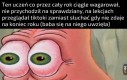 Spróbuje zaliczyć cały semestr w wystawienie ocen