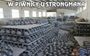 W piwnicy u strongmana
