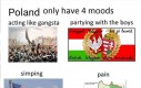 4 nastroje Polski