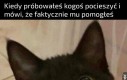 Zwycięstwo