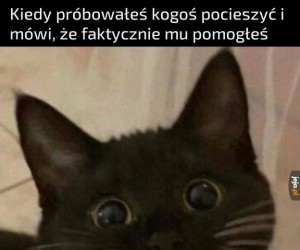 Zwycięstwo