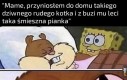 Dość tego, od teraz kot chodzi do szkoły, a ty do weterynarza
