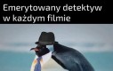 Tylko ty możesz rozwiązać tę sprawę Bob