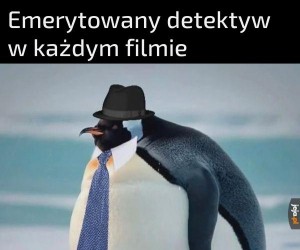 Tylko ty możesz rozwiązać tę sprawę Bob