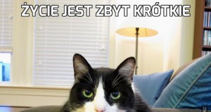 Życie jest zbyt krótkie