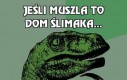 Jeśli muszla to dom ślimaka...