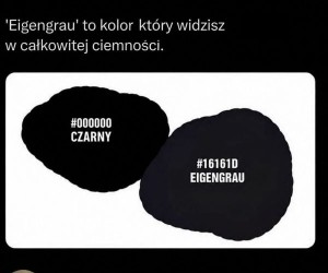 Pewnie każdy