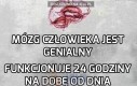 Ludzki mózg jest genialny!