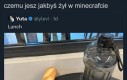 W sumie wygląda smacznie