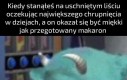 Co za scam
