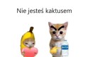 Pijcie wodę