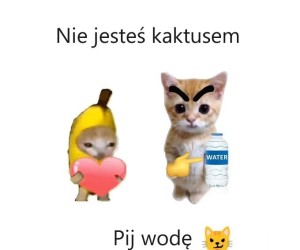 Pijcie wodę