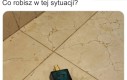 To chyba logiczne