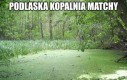 Smak prawie ten sam