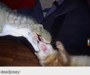 Tu ru ru tu tu, tu ru ru tu tu