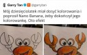Maszyny same się będą sobą bawić