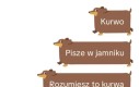 Nie ma już odwrotu