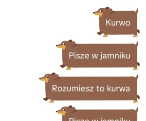 Nie ma już odwrotu