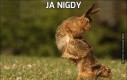 Ja nigdy