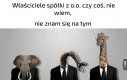 Dużo takich firm na rynku