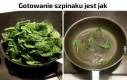 Szpinak