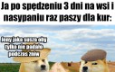 Rolnik z dziada pradziada