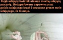 Piękno natury