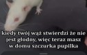 Musiałby naprawdę nie lubić szczurów
