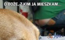 O Boże, z kim ja mieszkam...