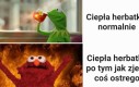Oparzenia języka 666 stopnia