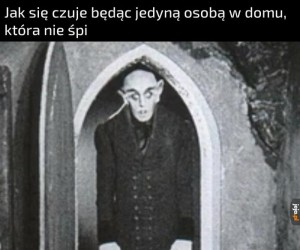 Teraz