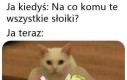 Przydają się