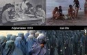 Efekt islamu