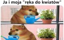 Znam się na tym