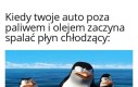 Jestem eko
