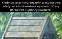 Nie przejmuj się Lisa, ciasne ale za to własne