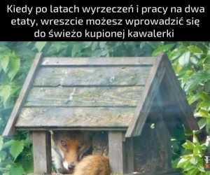 Nie przejmuj się Lisa, ciasne ale za to własne