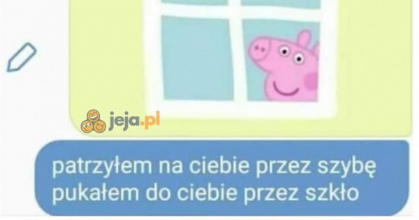 Nasze Pokolenie Tamagoczi Jeja Pl