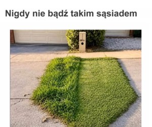 Obaj siebie warci